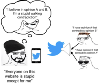 X user @NopeSignal tweeted a wojak depicting two people with contradicting opinions both posting on Twitter, and a third person seeing their opinions and imagining a single "stupid" person that contradicts himself. The post went on to inspire the "Goomba Fallacy" meme.