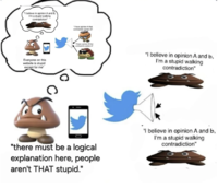 Redditor /u/f0remsics posted a version of the Goomba Fallacy meme showing two people with contradicting opinions and one person trying to make sense of it. 