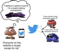 A color-coded version of the Goomba Fallacy chart meant to better illustrate its meaning. This meme shows the "stupid walking contradiction" Goomba as a purple combination of the two red and blue Goombas with conflicting opinions.