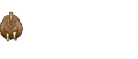 Missile Strike Explosion