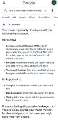 Google Q i am a small baby deer where is r X S Al Mode All Images Videos Short videos Foru Al Overview Your mama is probably close by, even if you can't see her right now. Here's why: • Fawns are often left alone: Mother deer deliberately leave their fawns hidden in a safe place while they go off to find food. This helps. to protect you, as the mother's scent could attract predators. • Mothers return: Your mama will return to nurse and care for you, likely at dawn and dusk. • You're well-hidden: Your spots and lack of scent help you stay hidden while your mama is away. It's important to: Stay put: You are safest where your mama left you. Don't wander: Fawns typically stay in one spot. • Wait quietly: Your mama will find you when she feels it's safe to return. If you are feeling distressed or in danger, or if you are visibly injured, your mama may not be able to help you. In that case, you might need help from people.