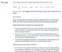 Google I am a doggy, but the human keeps trying to take my ball out of my mouth. Al Mode All Short videos Images Videos Forums Shopping More ▾ Did you mean: I am a dog, but the human keeps trying to take my ball out of my mouth. Al Overview Okay, it sounds like your human is trying to play fetch with you, but the part where you have to give the ball back can be a bit confusing or frustrating! Here's why humans sometimes try to take the ball: • To keep playing fetch: Fetch is a fun game where the human throws the ball, you chase it, and then you bring it back so they can throw it again. They need the ball back to continue the game! To teach you "Drop It": "Drop It" is an important command that helps you learn to release things from your mouth when asked. This can be important for your safety if you ever pick up something dangerous. • To protect their belongings: Sometimes, humans might try to take things from your mouth if it's something they don't want you to have, like their shoes! What you can do (as a dog, of course!): • Learn "Drop It": If your human is teaching you "Drop It," they are probably offering you a tasty treat or another fun toy in exchange for the ball. This makes letting go of the ball a positive experience, and you'll learn that dropping it gets you something