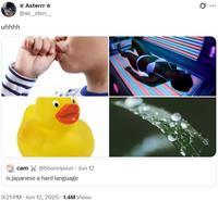 A meme consisting of an image of a kid sucking their thumb, a tanning bed, a rubber ducky and dew on a blade of grass. The meme, by @as__sterr__, is meant to be read "sucky tan ducky doo."