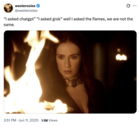 X user @westerosies posted a tweet that read, "“I asked chatgpt” “I asked grok” well I asked the flames, we are not the same," alongside an image of the Red Lady from _Game of Thrones_. The post gathered over 65,000 likes in five days.