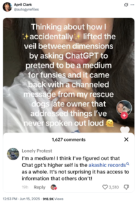 X user @autogynefiles tweeted a screenshot of a reply to TikToker @unhingeddogmom's post, showing another TikToker encouraging her to look into "Akashic Records," a made-up, theosophic notion of a source of universal knowledge.
