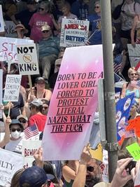 A sign reading, "BORN TO BE A LOVER GIRL FORCED TO PROTEST LITERAL NAZIS WHAT THE F---," at a June 2025 "No Kings" protest.