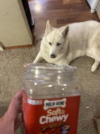 MILK-BONE Soft& Chewy Def
