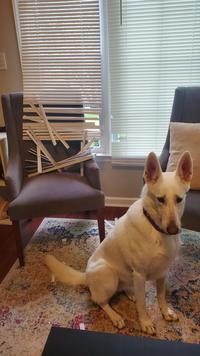 She just wanted to look outside