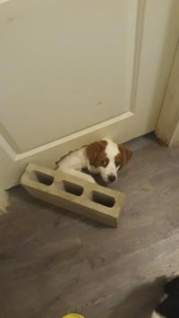 So guilty