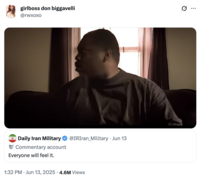 X user @rwxoxo tweeted a meme reacting to a tweet by an unofficial Twitter / X account that read, "Everyone will feel it." Several internet users took the tweet to be an official statement from the Iranian military, and posted memes distancing themselves from the situation. 