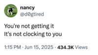 nancy @dogtired You're not getting it It's not clocking to you • 1:15 PM ⚫ Jun 15, 2025 434.3K Views