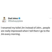 Dad Jokes @Dadsaysjokes I renamed my toilet Jim instead of John.. people are really impressed when I tell them I go to the Jim every morning.
