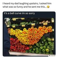 I heard my dad laughing upstairs, I asked him what was so funny and he sent me this... it's a bell curve im so sorry Food Talk