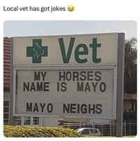 Local vet has got jokes → Vet MY HORSES NAME IS MAYO MAYO NEIGHS