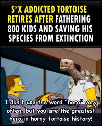 S*X ADDICTED TORTOISE RETIRES AFTER FATHERING 800 KIDS AND SAVING HIS SPECIES FROM EXTINCTION I don't use the word "hero" very often, but you are the greatest hero in horny tortoise history!