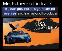 Me: Is there oil in Iran? Yes, Iran possesses significant oil reserves and is a major oil producer 731 ADRAM USA Joins the Battle! AROBA