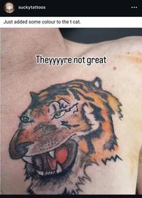 DUDE suckytattoos Just added some colour to the t cat. Theyyyyre not great m
