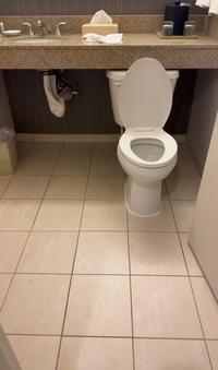 The toilet in this hotel room