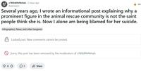 A post made by Redditor KazeoLion, who is accused of cyberbullying Mikayla Raines. In the post, they complain about being solely blamed for her suicide.