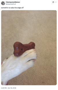 A photo of a "dog":https://knowyourmeme.com/memes/subcultures/dogs holding a treat like a c--------, captioned, "Somethin' to take the edge off."