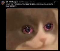 Dik Dik Marzipan @DikMarzipan · Jun 24 WHAT THE F--- DID LITTLE TINY CHEF DO WRONG YOU F------ MONSTERS!?!?