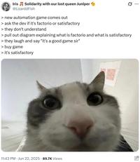 Iris Solidarity with our lost queen Junlper @LizarddFish > new automation game comes out > ask the dev if it's factorio or satisfactory > they don't understand 0 > pull out diagram explaining what is factorio and what is satisfactory > they laugh and say "it's a good game sir" > buy game > it's satisfactory 11:43 PM ⚫ Jun 22, 2025 89.7K Views ...