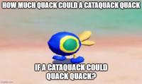 HOW MUCH QUACK COULD A CATAQUACK QUACK imgflip.com IF A CATAQUACK COULD QUACK QUACK?