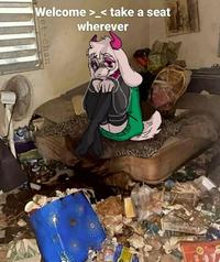 A version of the "take a seat wherever":https://knowyourmeme.com/memes/welcome-_-take-a-seat-wherever meme featuring Ralsei from Deltarune. He sits in a messy room.
