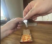 The tiniest pizza