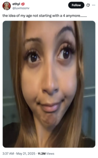 X user @luvmoonv tweeted a stretched-out image of British singer PinkPantheress looking upward and smiling, writing, "the idea of my age not starting with a 4 anymore........," and gathering over 200,000 likes in a month.