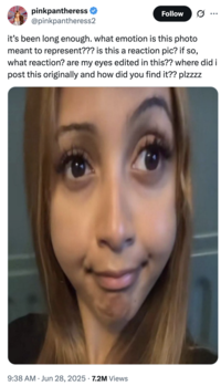 X user @pinkpantheress2 tweeted, "it’s been long enough. what emotion is this photo meant to represent??? is this a reaction pic? if so, what reaction? are my eyes edited in this?? where did i post this originally and how did you find it?? plzzzz" alongside a photo of the PinkPantheress Stretched Reaction meme, gathering over 200,000 likes in two days.
