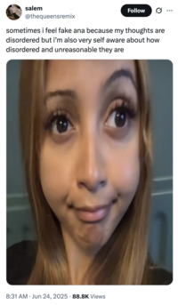 X user @thequeensremix  tweeted a stretched-out, distorted image of PinkPantheress, writing, "sometimes i feel fake ana because my thoughts are disordered but i’m also very self aware about how disordered and unreasonable they are."
