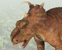 WWD 2025 Pachyrhinosaurus