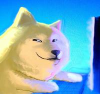 Doge Art | /r/dogelore
