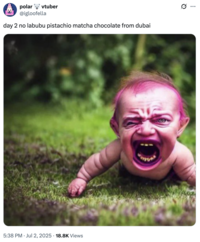 A "tweet":https://knowyourmeme.com/memes/sites/twitter-x using "Slang Overload":https://knowyourmeme.com/memes/slang-overload of 2025 crazes and fads like "Labubu Toys":https://knowyourmeme.com/memes/subcultures/labubu-toys, matcha drinks and "Dubai Chocolate Bars":https://knowyourmeme.com/memes/subcultures/dubai-chocolate-bar.