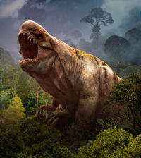 Distortus rex