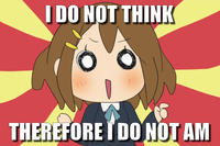 I DO NOT THINK THEREFORE I DO NOT AM