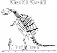 Meter What If It Was All Just A Dream