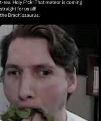 t-rex: Holy F*ck! That meteor is coming straight for us all! the Brachiosaurus: