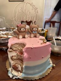 Gender reveal cake had no reveal