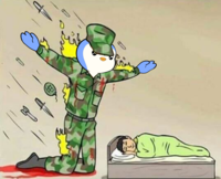 The Silent Protector