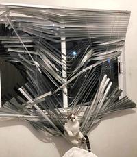 Ser Pounce, first of his name to sit upon the thousand blades of Aegon's enemies | /r/FreeFolk