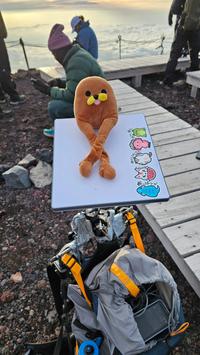 <iframe width="560" height="315" src="https://www.youtube.com/embed/xhkl-Xw48dQ?si=oPDEajhcCwr63dLc" title="YouTube video player" frameborder="0" allow="accelerometer; autoplay; clipboard-write; encrypted-media; gyroscope; picture-in-picture; web-share" referrerpolicy="strict-origin-when-cross-origin" allowfullscreen></iframe>