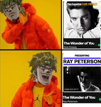 The Essential ELVIS PRESLEY The Wonder of You Elvis Presley PRESENTING RAY PETERSON COME AND GET IT The Wonder of You Ray Peterson