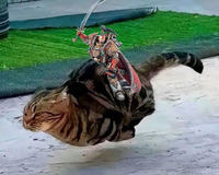 SHOW AN IMAGE THAT GO EVEN MORE HARD THAN THIS ONE | /r/grimdank