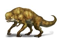 Distortus rex