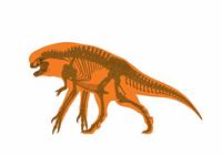 Distortus Rex skeletal
