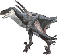 Mutadon