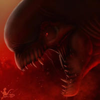Distortus rex
