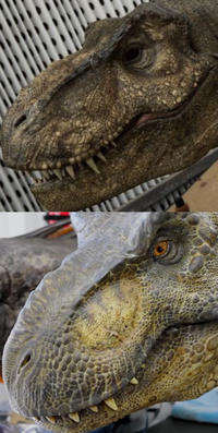 Jurassic world Trex comparison